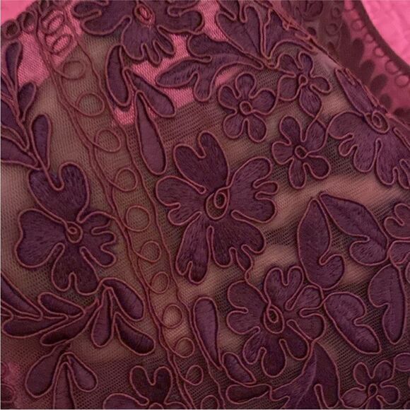 Sue Wong Deep Red Lace Midi Dress, US0 - Picture 9 of 12